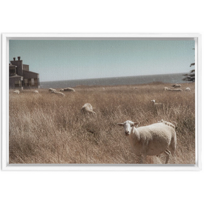 product image for Sea Ranch Framed Canvas 48