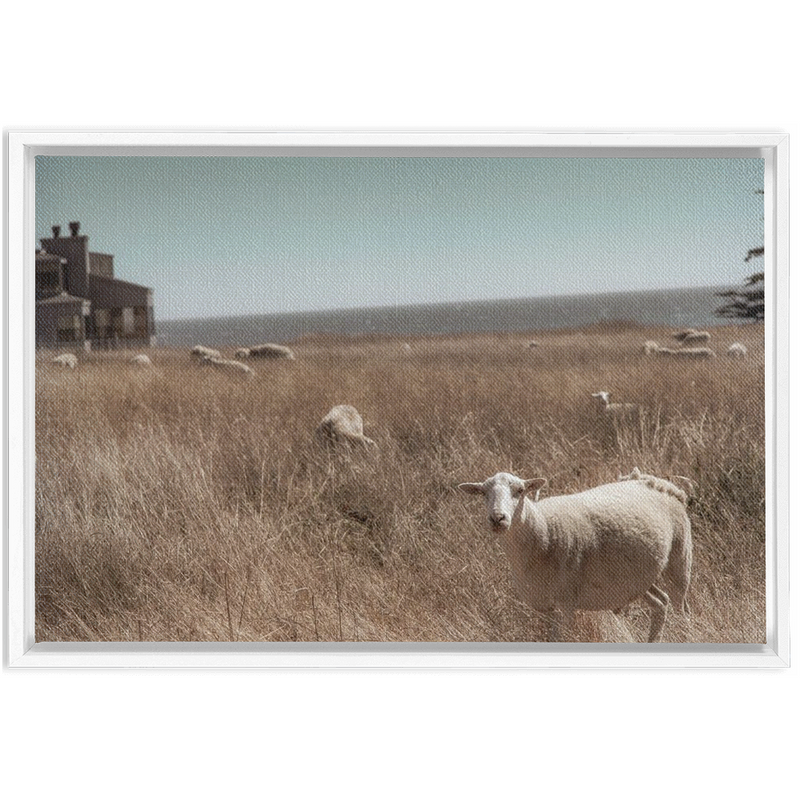 media image for Sea Ranch Framed Canvas 274