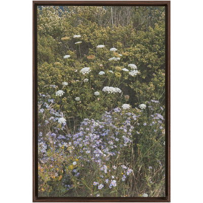 product image for Wildflowers Framed Canvas 5