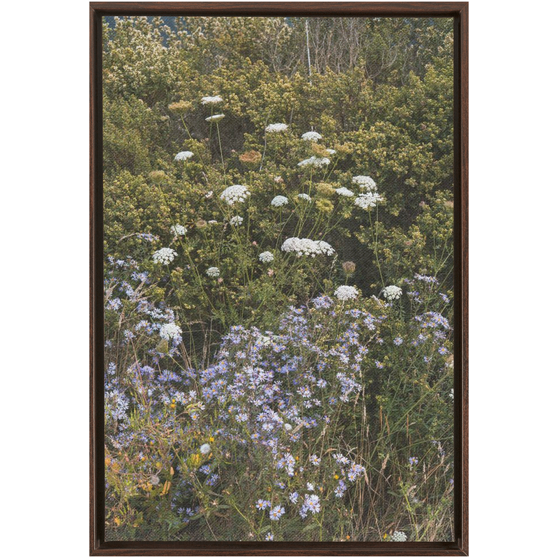 media image for Wildflowers Framed Canvas 293