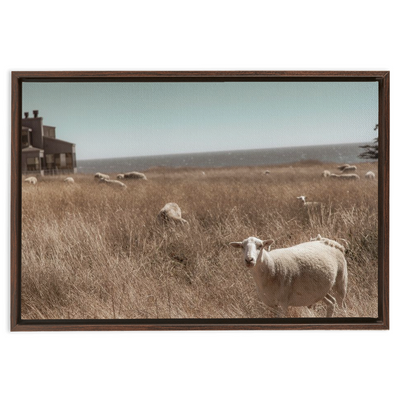 product image for Sea Ranch Framed Canvas 98