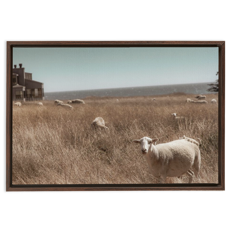 media image for Sea Ranch Framed Canvas 256