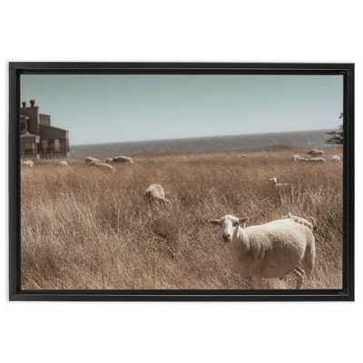 product image for Sea Ranch Framed Canvas 20