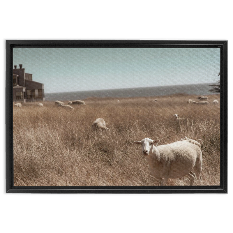 media image for Sea Ranch Framed Canvas 269