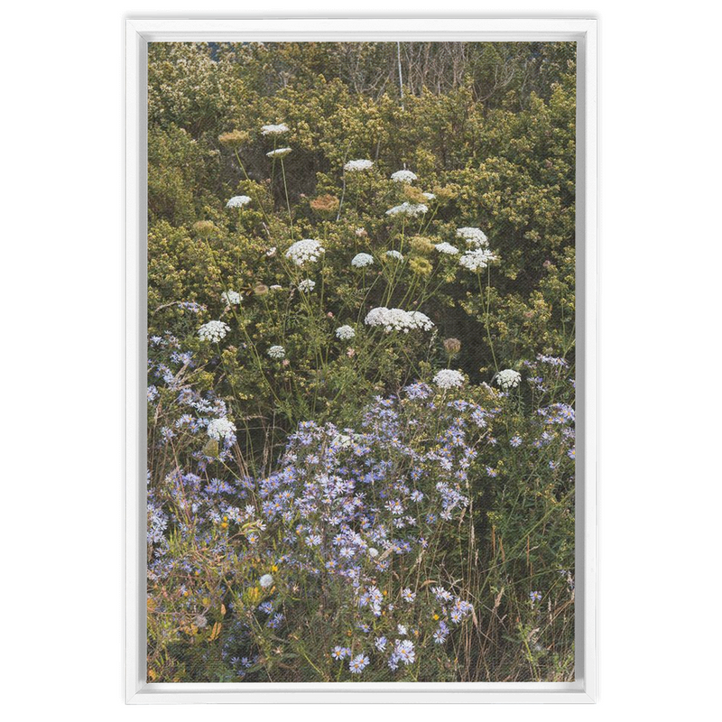 media image for Wildflowers Framed Canvas 296