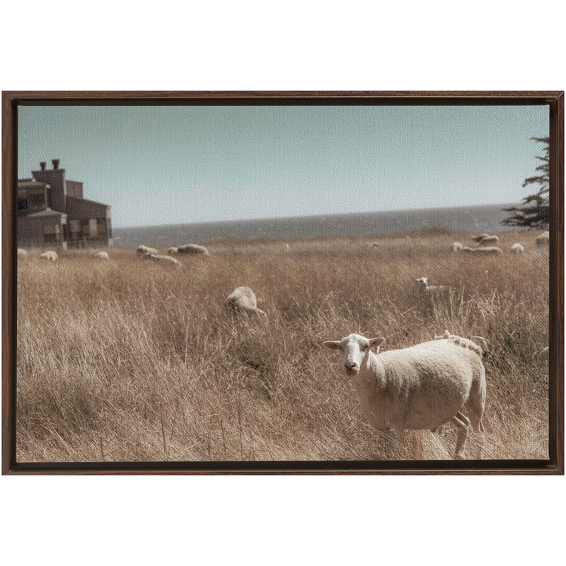 media image for Sea Ranch Framed Canvas 279