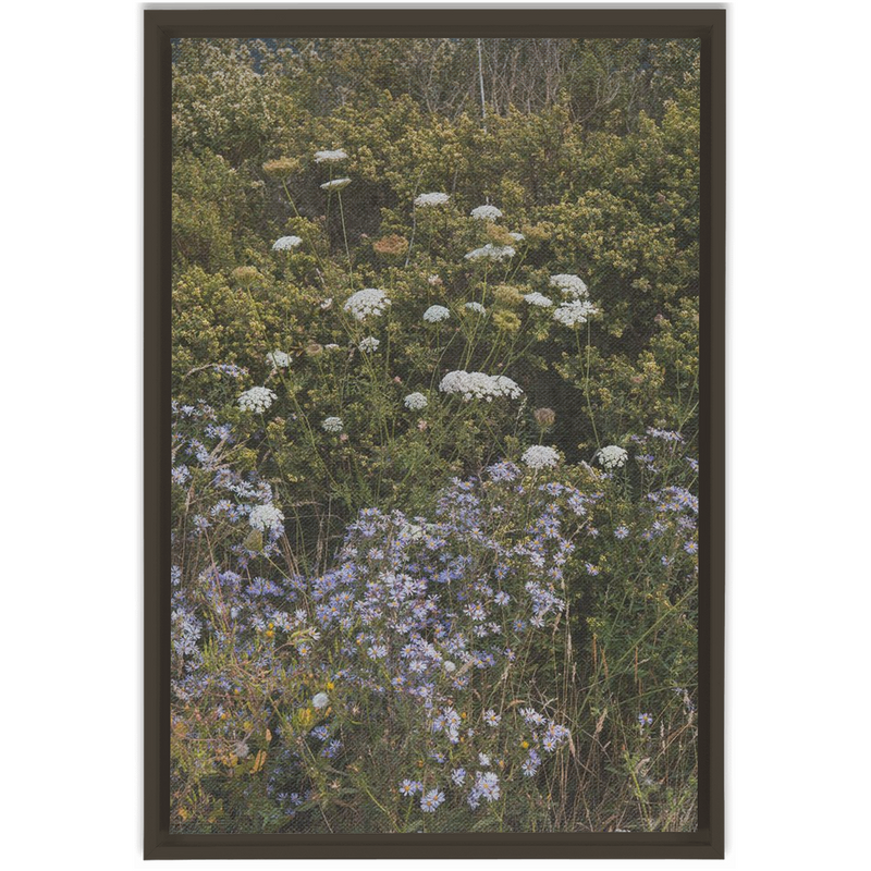 media image for Wildflowers Framed Canvas 255