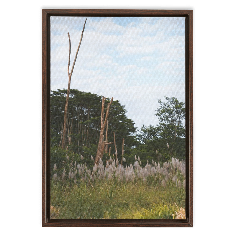 media image for Meadow Framed Canvas 226