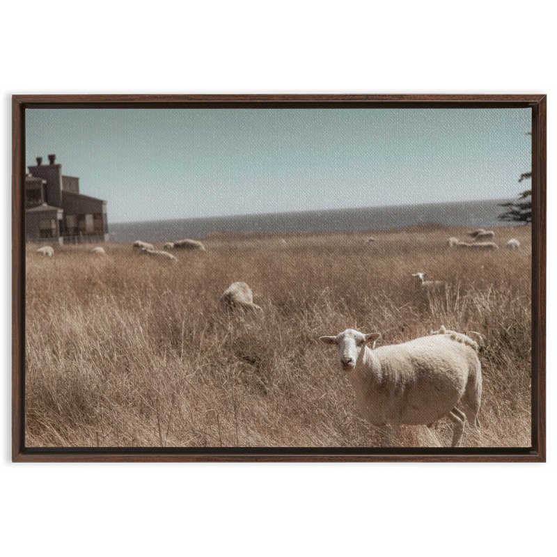 media image for Sea Ranch Framed Canvas 264