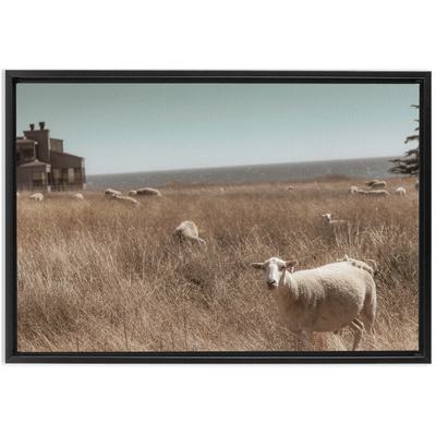 product image for Sea Ranch Framed Canvas 62