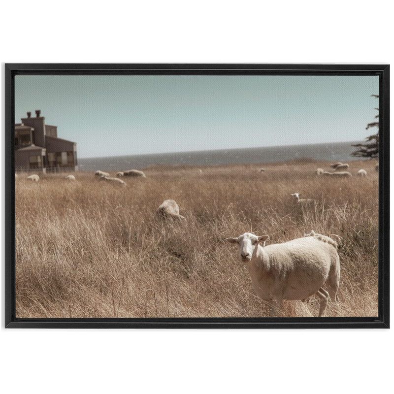 media image for Sea Ranch Framed Canvas 231