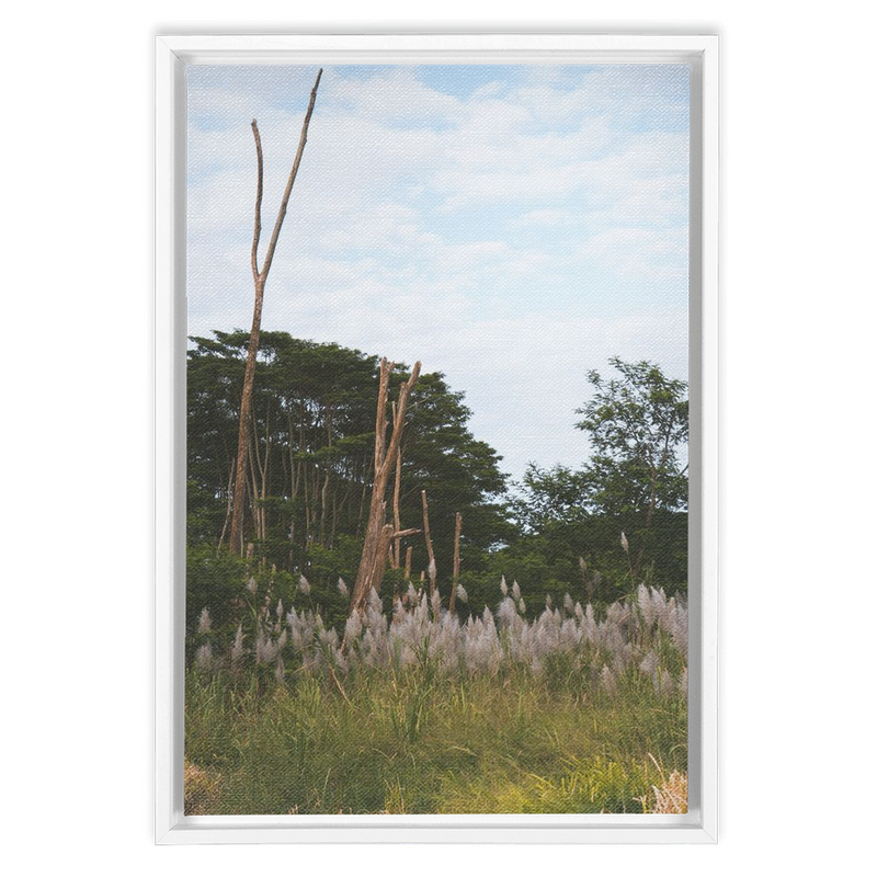 media image for Meadow Framed Canvas 23