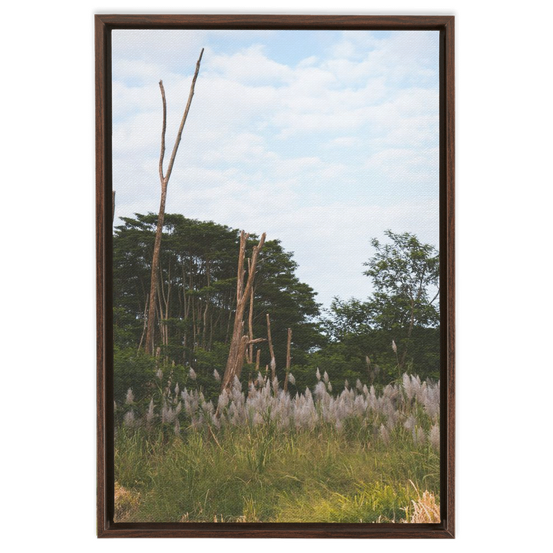media image for Meadow Framed Canvas 244