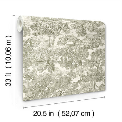 product image for Spinney Green Toile Wallpaper 92