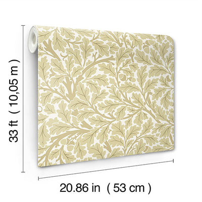product image for Oak Tree Light Yellow Leaf Wallpaper 74