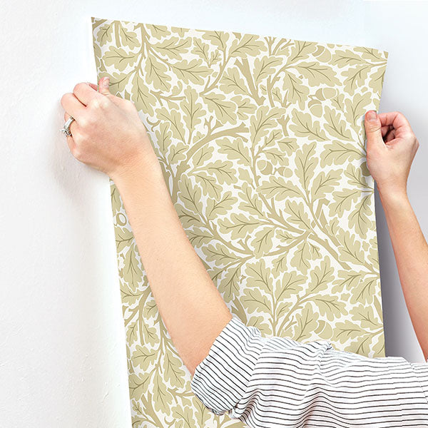 media image for Oak Tree Light Yellow Leaf Wallpaper 28