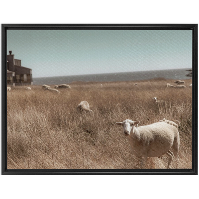 product image for Sea Ranch Framed Canvas 95