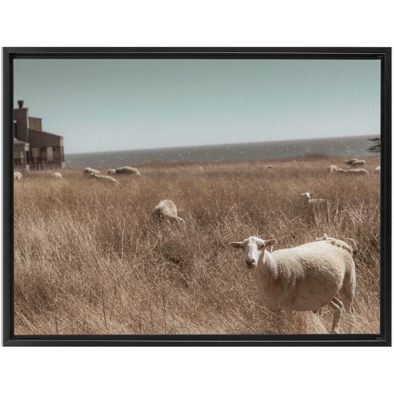 media image for Sea Ranch Framed Canvas 295