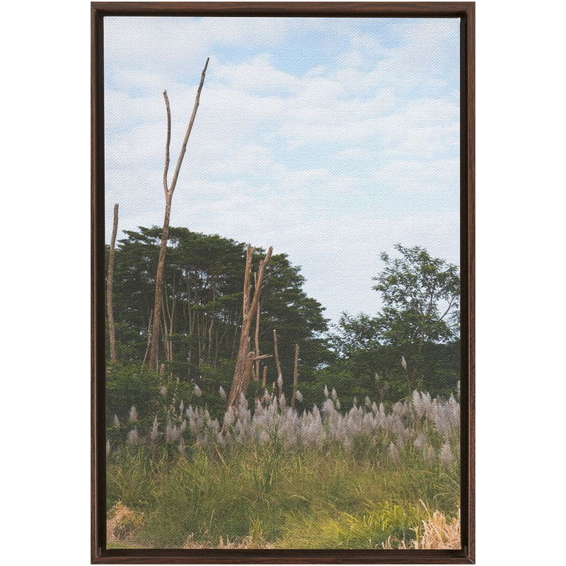 media image for Meadow Framed Canvas 238