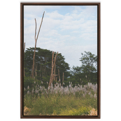 product image for Meadow Framed Canvas 21