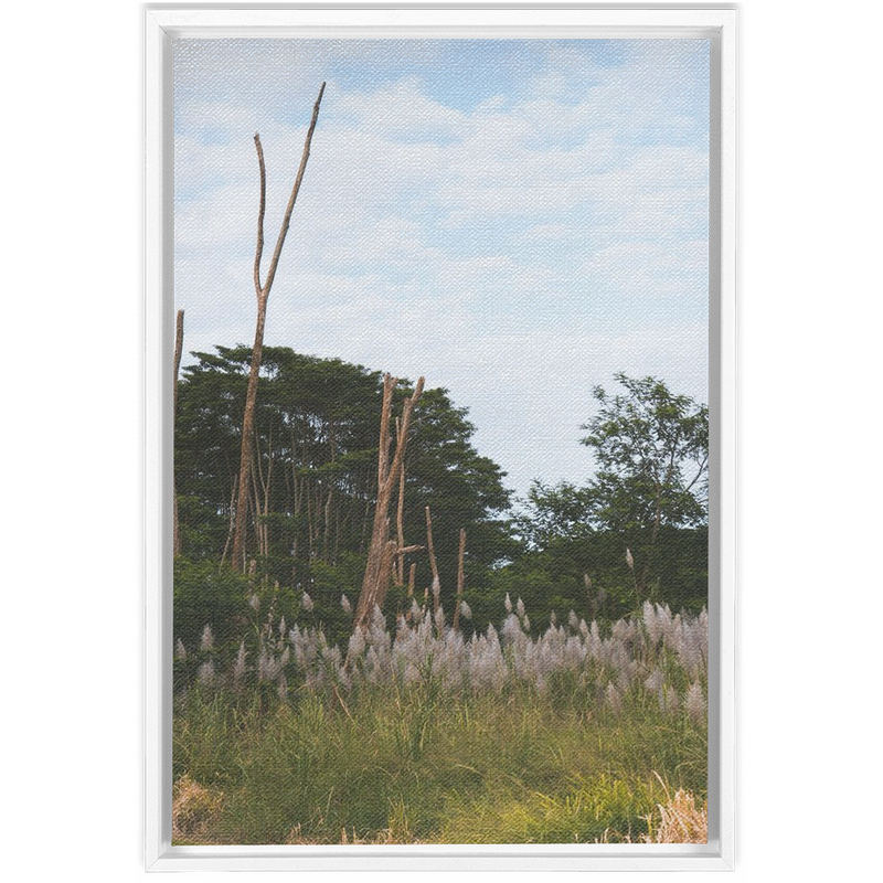 media image for Meadow Framed Canvas 216