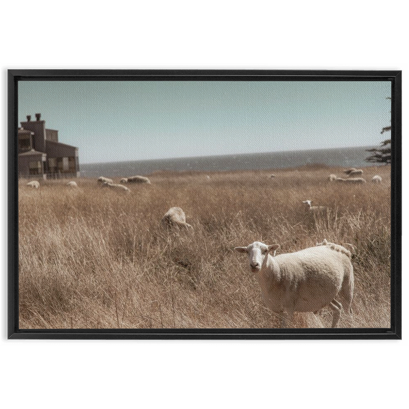 media image for Sea Ranch Framed Canvas 225