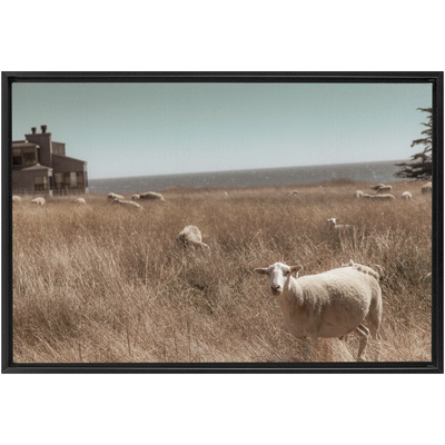 product image for Sea Ranch Framed Canvas 54