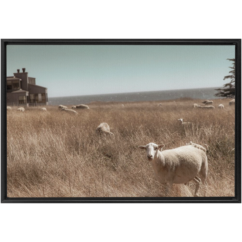 media image for Sea Ranch Framed Canvas 284