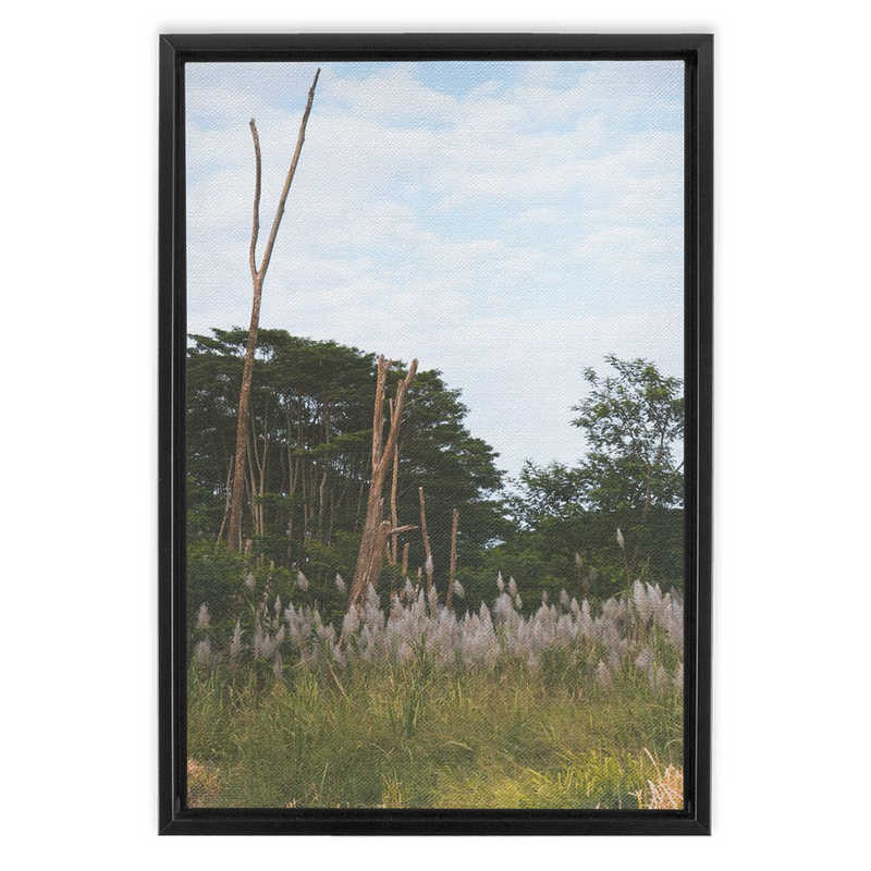 media image for Meadow Framed Canvas 261