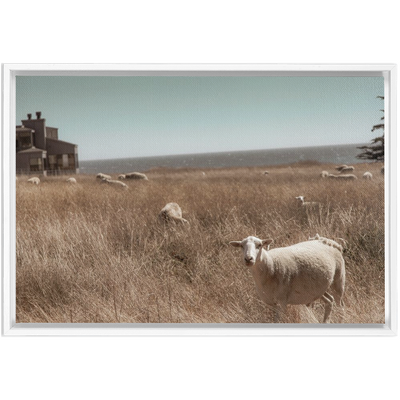 product image for Sea Ranch Framed Canvas 6