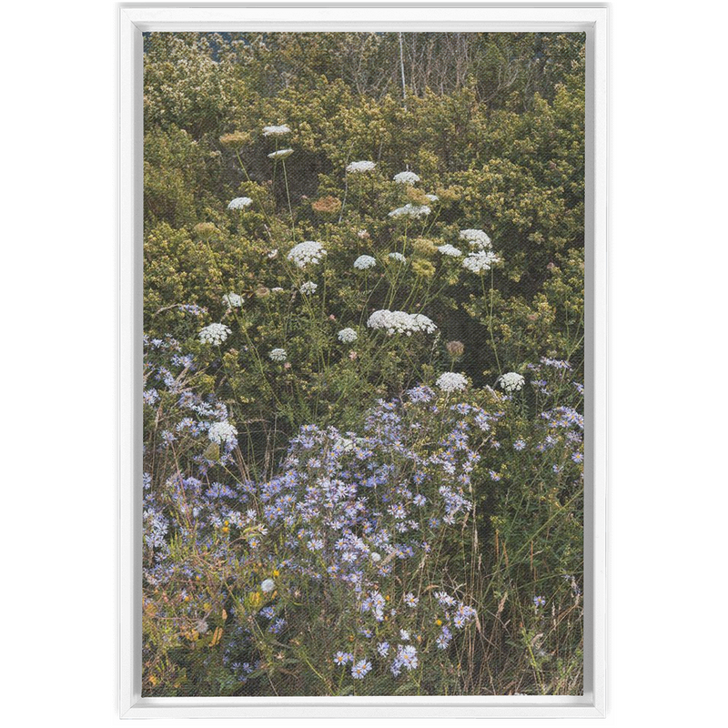 media image for Wildflowers Framed Canvas 280
