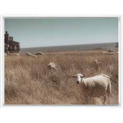 product image for Sea Ranch Framed Canvas 9