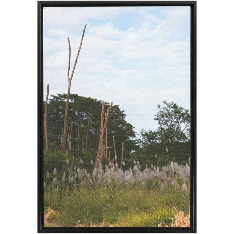 media image for Meadow Framed Canvas 274