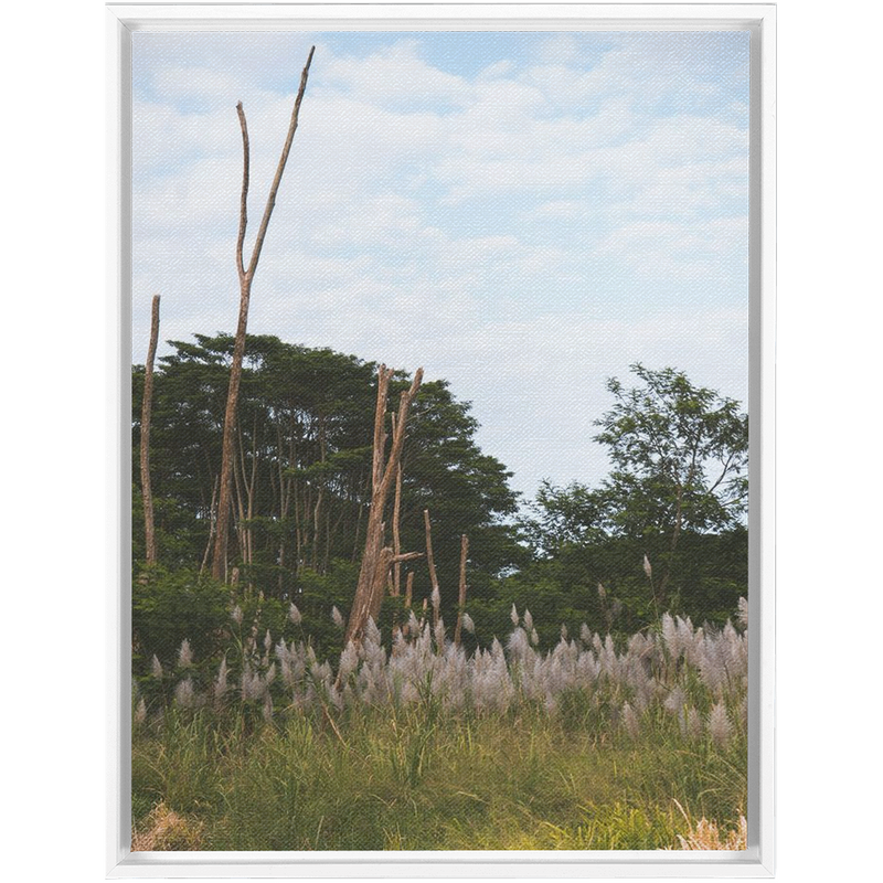 media image for Meadow Framed Canvas 274