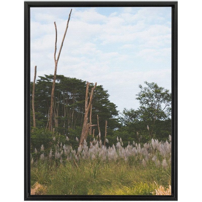 media image for Meadow Framed Canvas 24