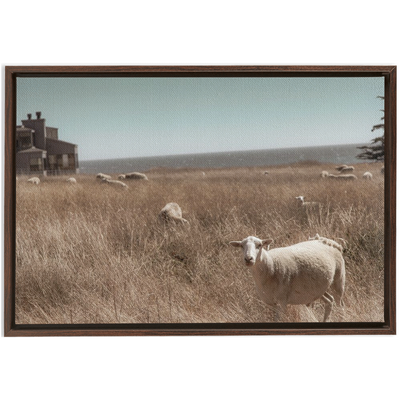 product image for Sea Ranch Framed Canvas 40