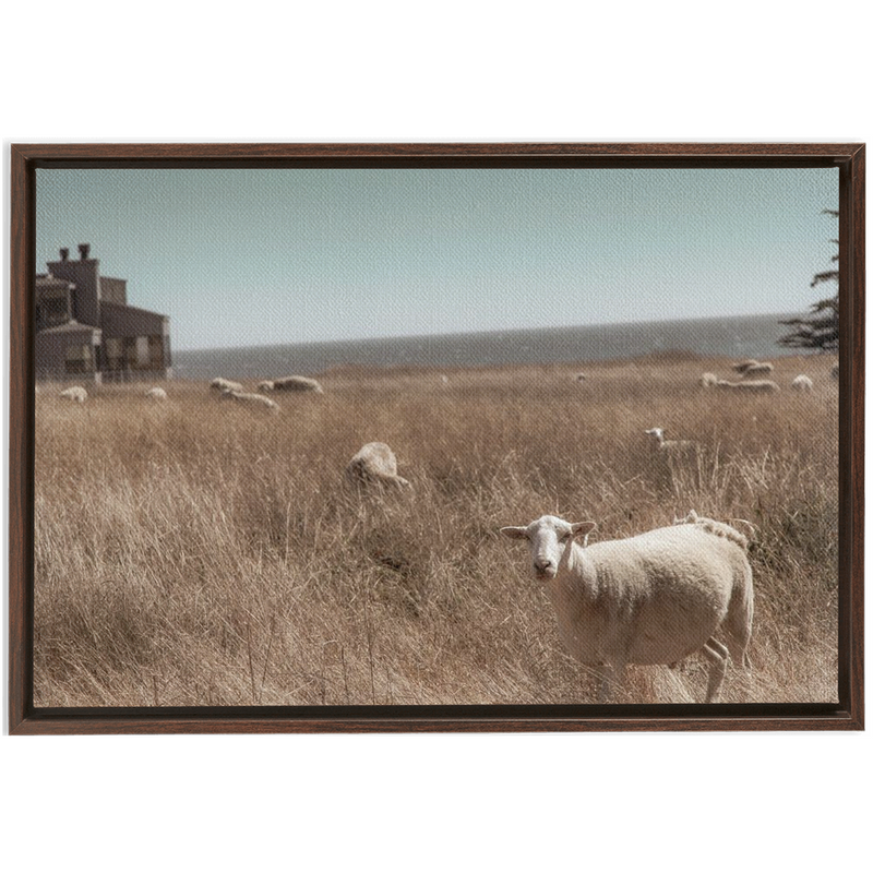 media image for Sea Ranch Framed Canvas 298