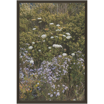 product image for Wildflowers Framed Canvas 95