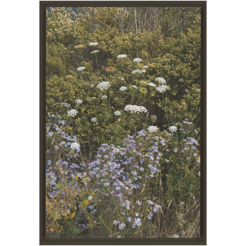 media image for Wildflowers Framed Canvas 260