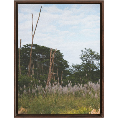 product image for Meadow Framed Canvas 85