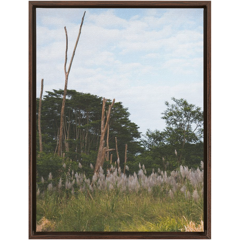 media image for Meadow Framed Canvas 293