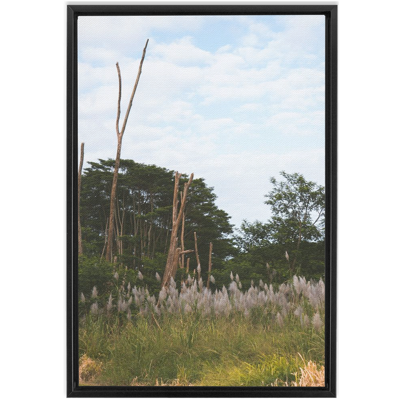 media image for Meadow Framed Canvas 257