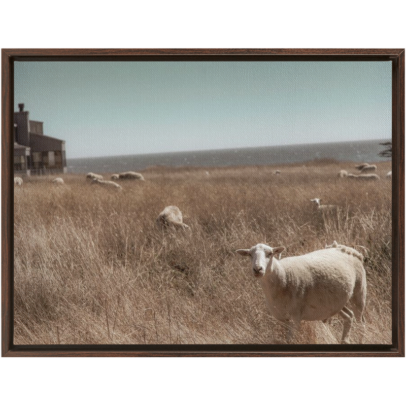 media image for Sea Ranch Framed Canvas 288