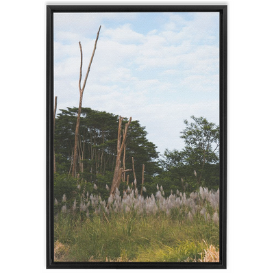 product image for Meadow Framed Canvas 76