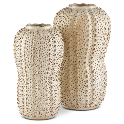 product image for Peanut Vase By Currey Company Cc 1200 0743 6 20