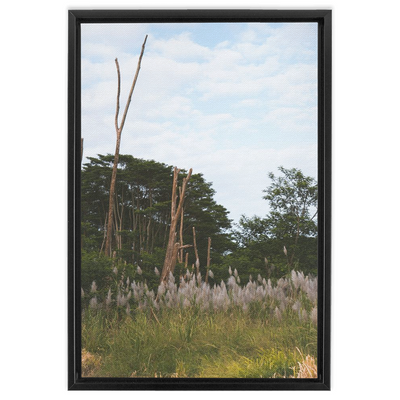 product image for Meadow Framed Canvas 36