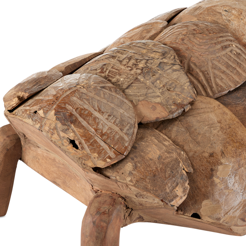 media image for Turtle Set Of 3 By Currey Company Cc 1200 0821 4 242