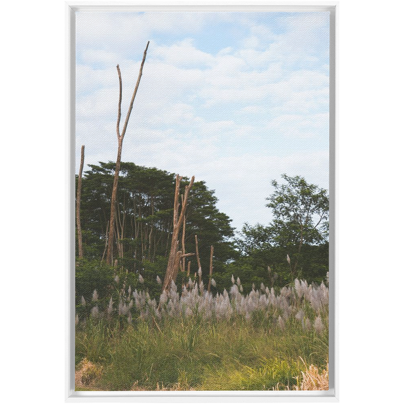 media image for Meadow Framed Canvas 276