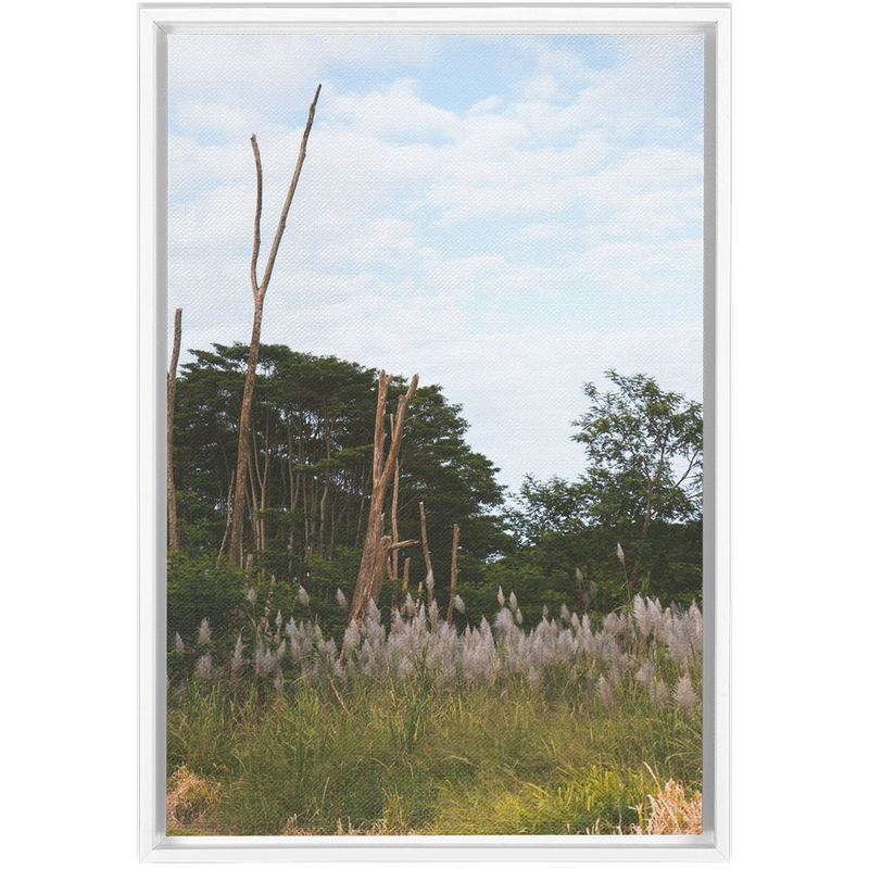 media image for Meadow Framed Canvas 267