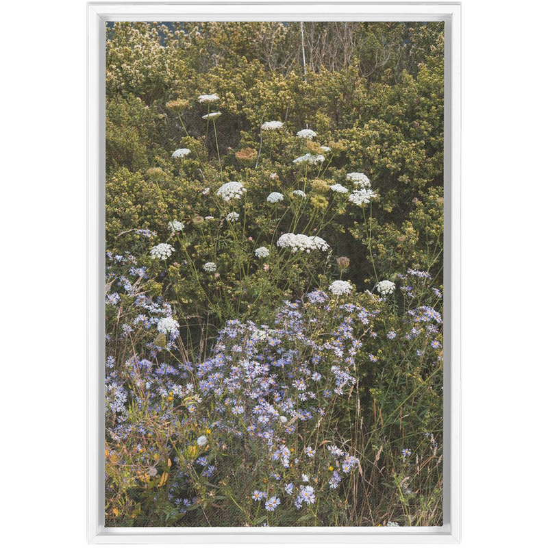 media image for Wildflowers Framed Canvas 230